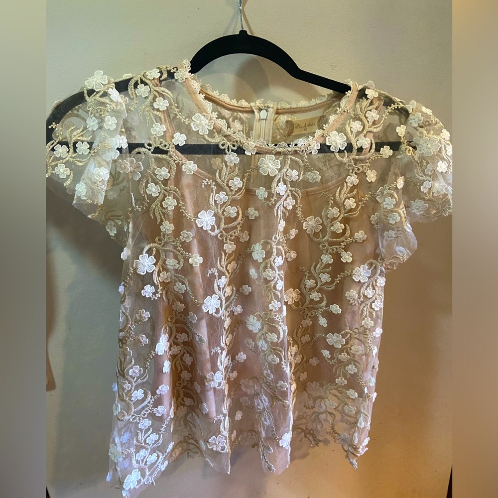 Altar'd State Sheer embroidery top XS